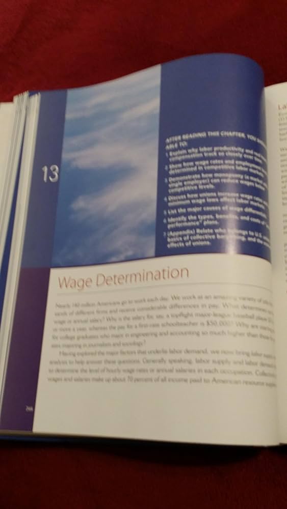 Economics: Principles, Problems, and Policies, 19th Edition